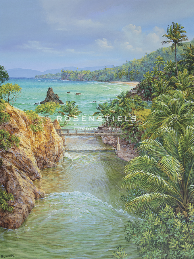 Into the Sea - Karen Sylvester