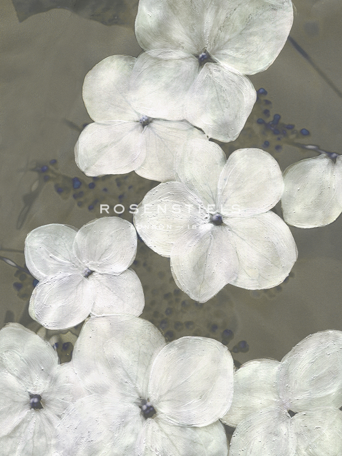 Spring Musings - Tumble - Belle Poesia
