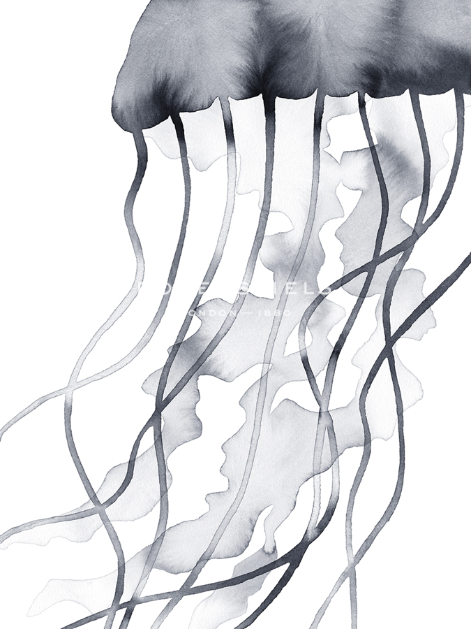 Ocean Ripple - Glide - Kristine Hegre