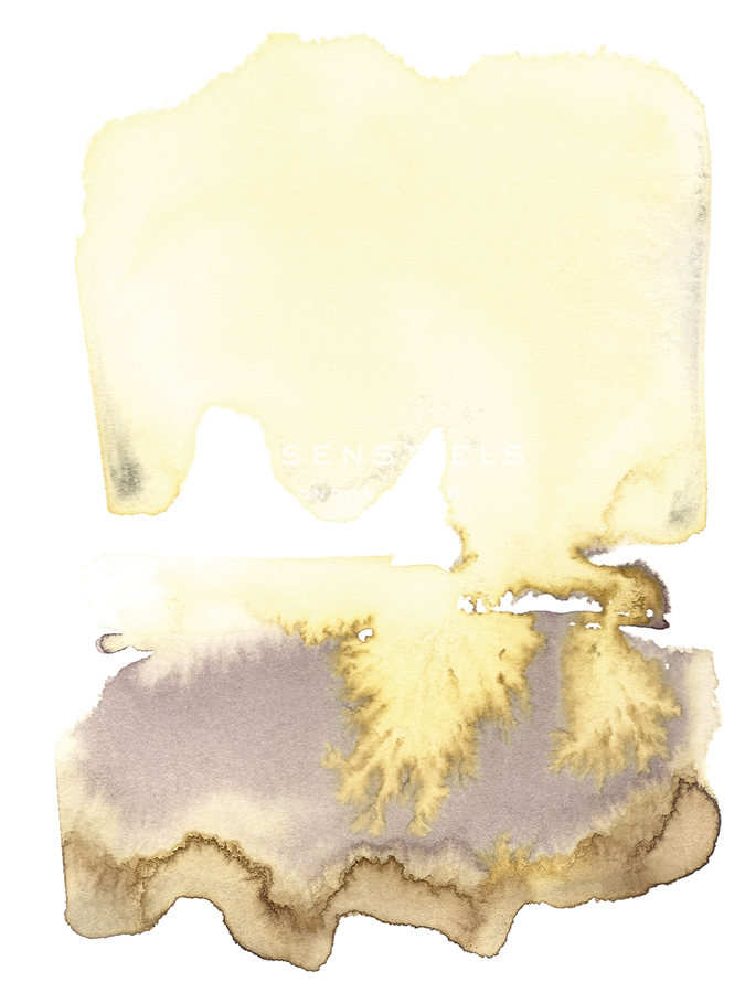 Wild Ink - Diffuse - Sarah Hart Morgan