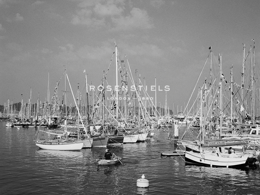 Vast Marina - Ben Wood