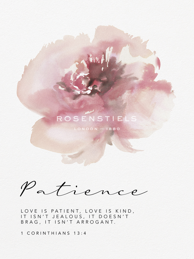 Bloom - Patience - Sandra Jacobs