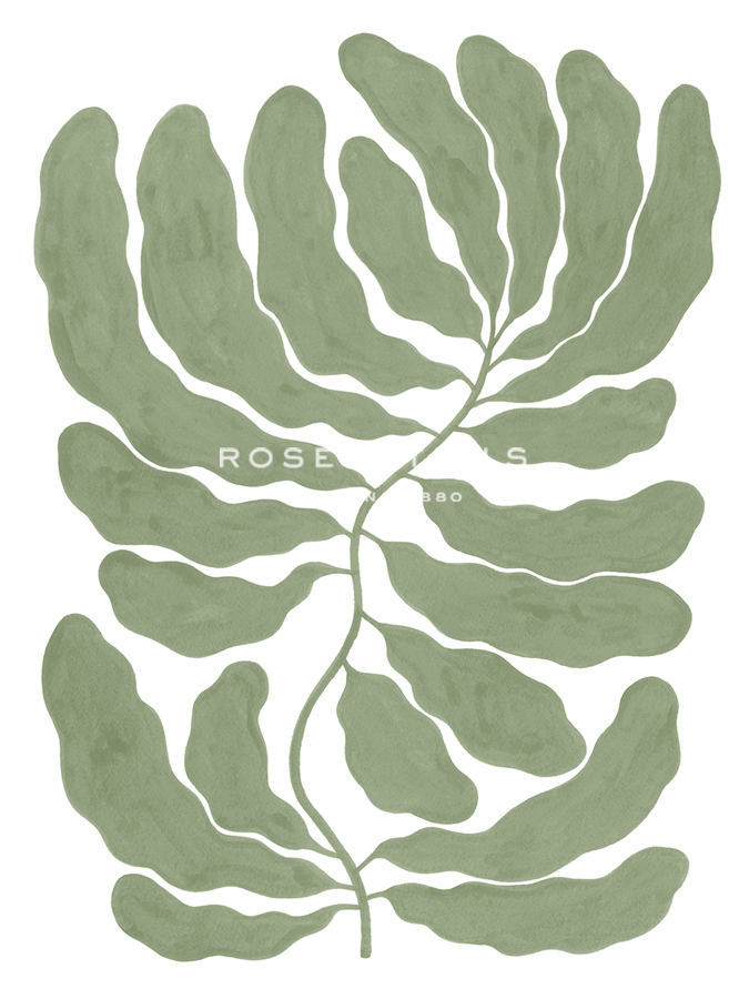 Frond Dance - Flow - Kristine Hegre