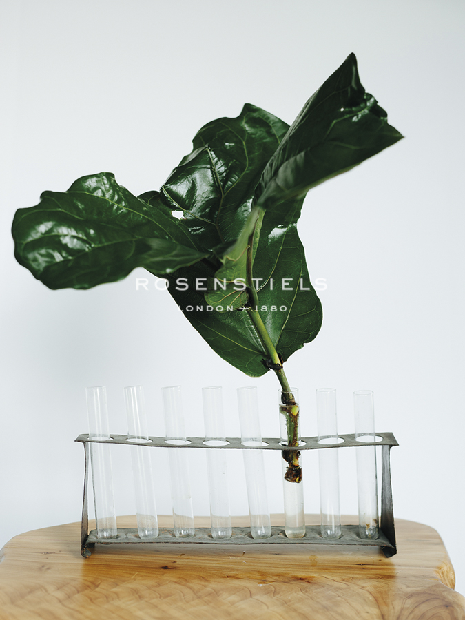 Propagation Flourish - Sarah Hart Morgan