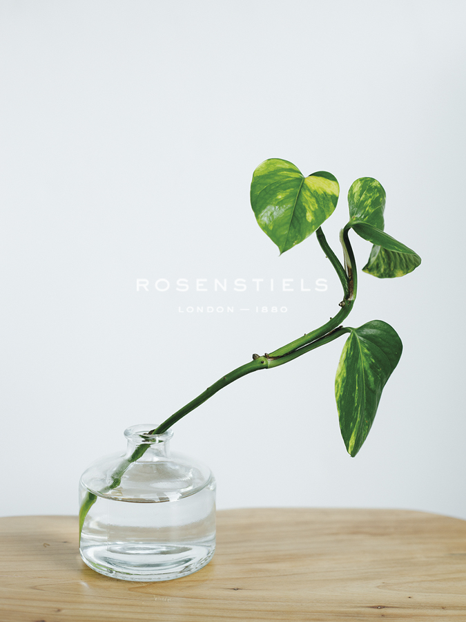 Propagation Lively - Sarah Hart Morgan
