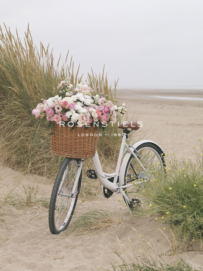 Floral Cycle - Beach - Carina Okula