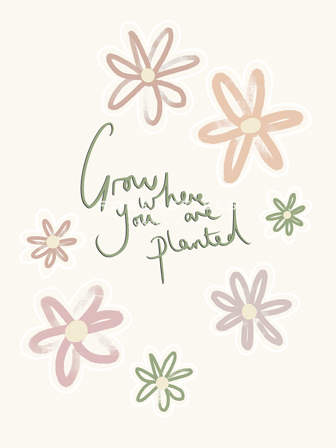 Grow Where You Are Planted - Lisa McCandless