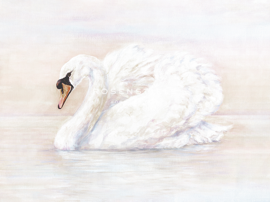 Mute Swan - Janie Howe