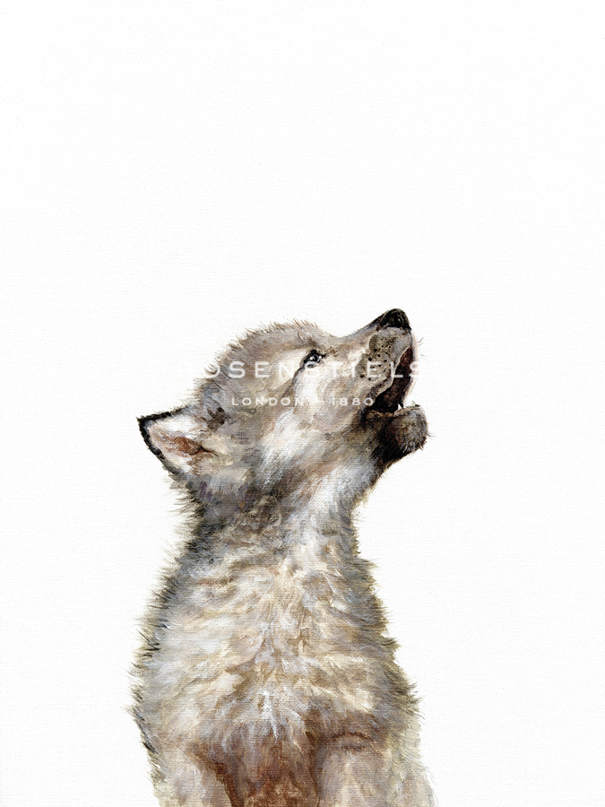 Baby Wolf - Janie Howe