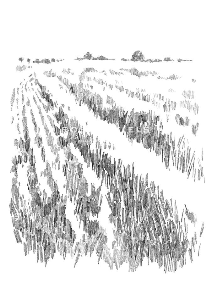 Countryside Sketch - Fields - Kristine Hegre