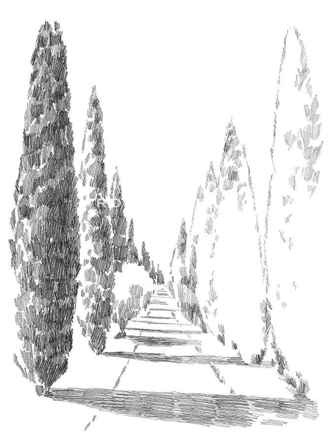 Countryside Sketch - Avenue - Kristine Hegre