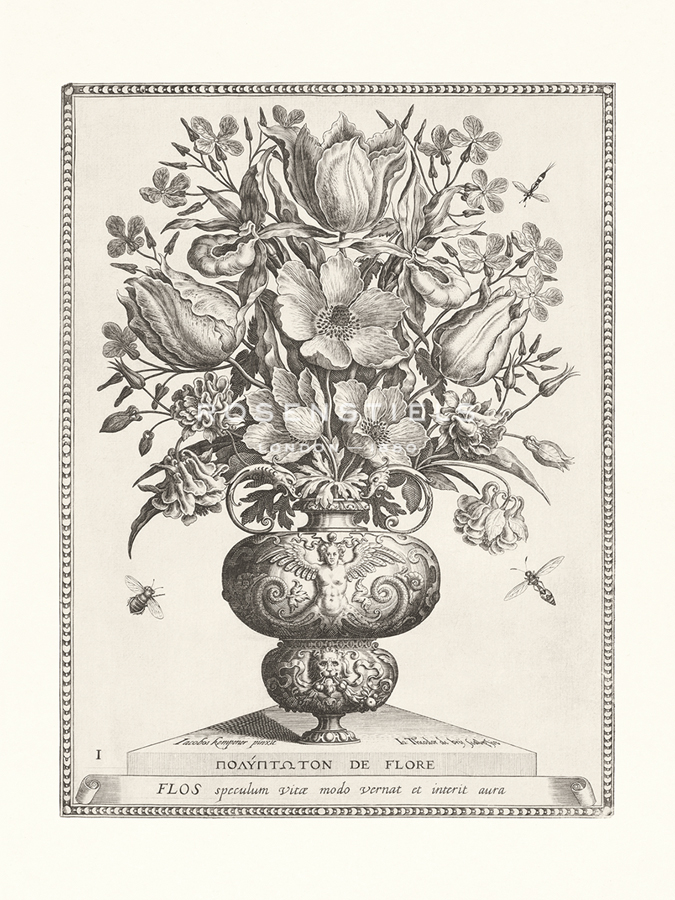 Variatio Florum - Speculum Vitae - Jacobus Kempener
