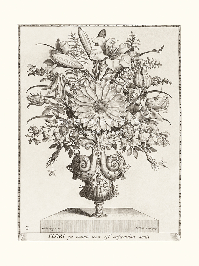Variatio Florum - Flores Luventutis - Jacobus Kempener