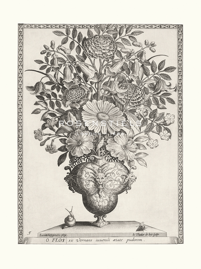 Variatio Florum - Ver Flores - Jacobus Kempener