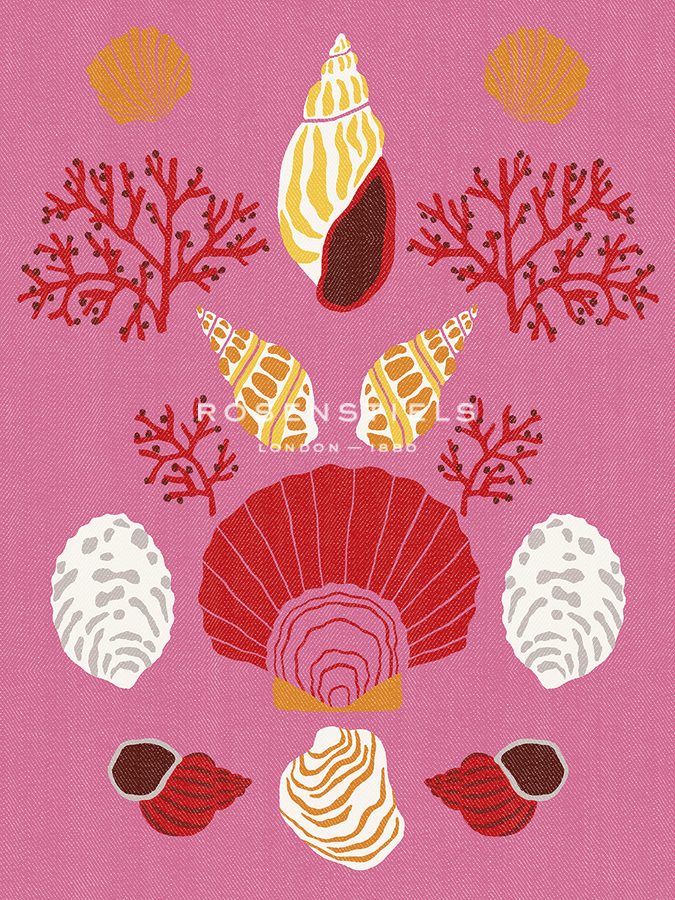 Colourful Coast - Shell - Kristine Hegre