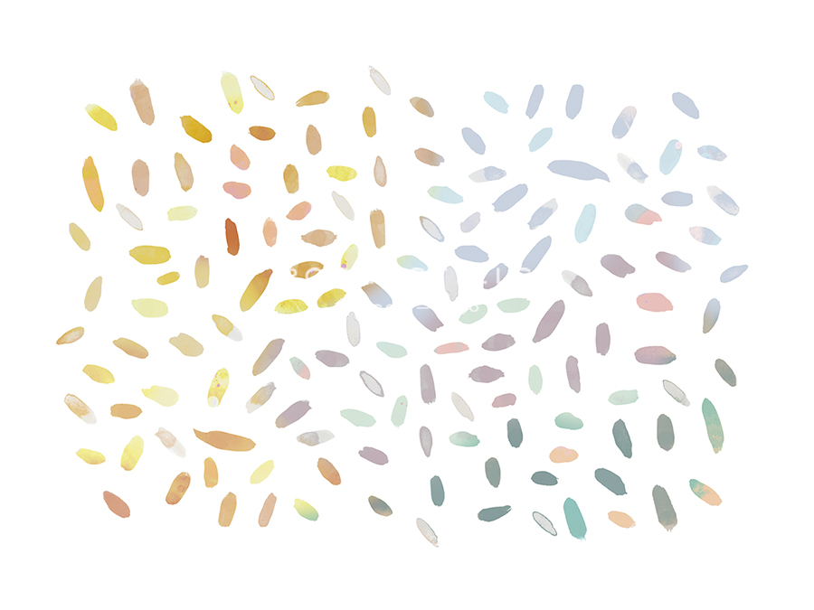 Sprinkles - Joni Whyte