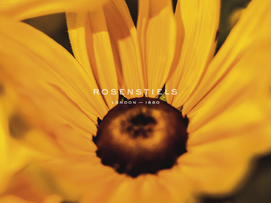 Blooming Sunshine - Focus - Florian Schleinig