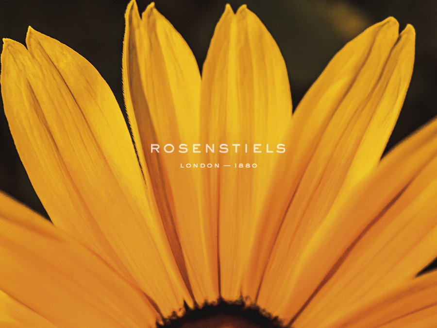 Blooming Sunshine - Detail - Florian Schleinig