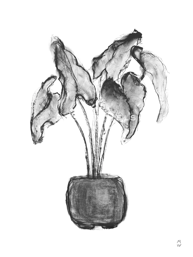 Sketched Houseplant - Cultivate  - Manny Woodard