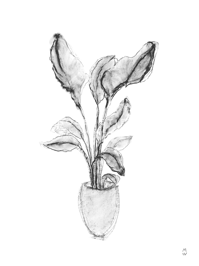 Sketched Houseplant - Sprout - Manny Woodard