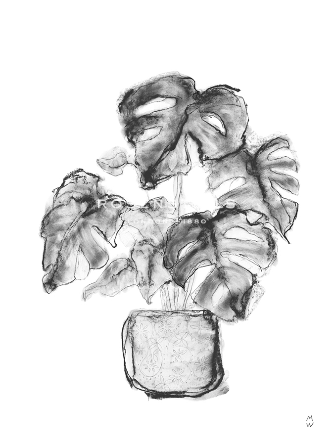 Sketched Houseplant - Grow - Manny Woodard