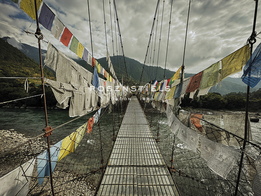 Decorated Pathway - Andrew Geiger