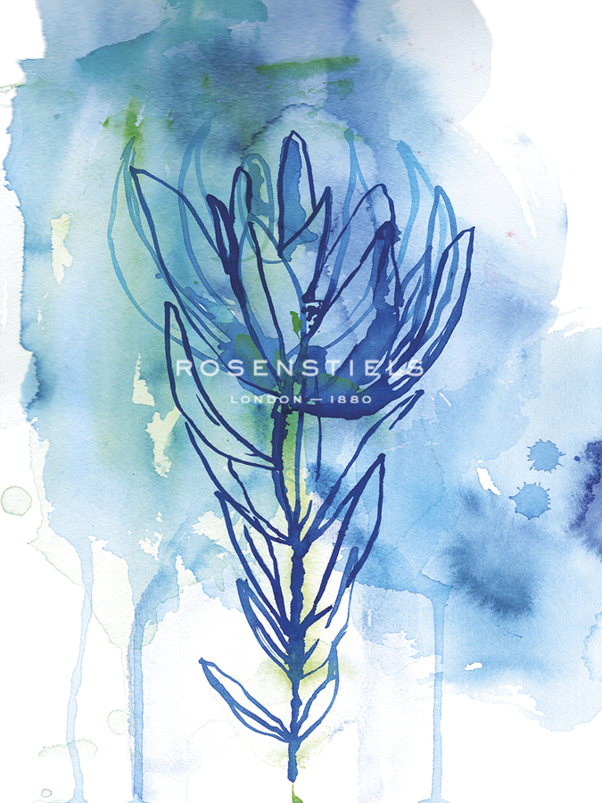 Protea Wash - Blue - Paula Mills