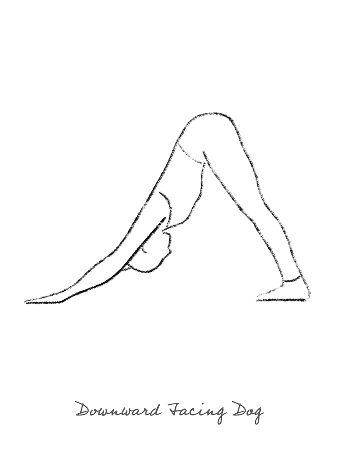 Yoga Flow - Downward - Lisa McCandless
