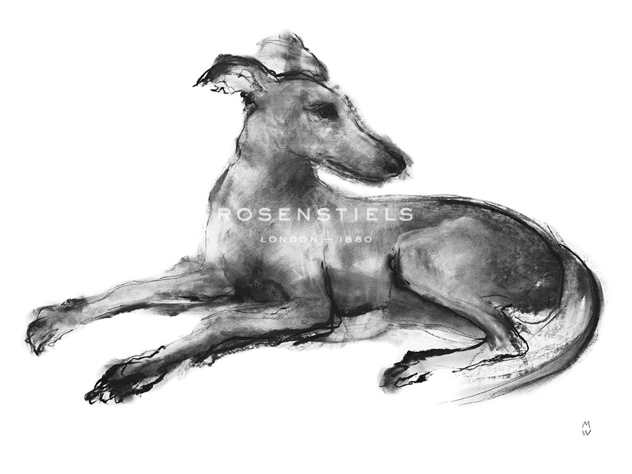 Study in Motion - Rest - Manny Woodard