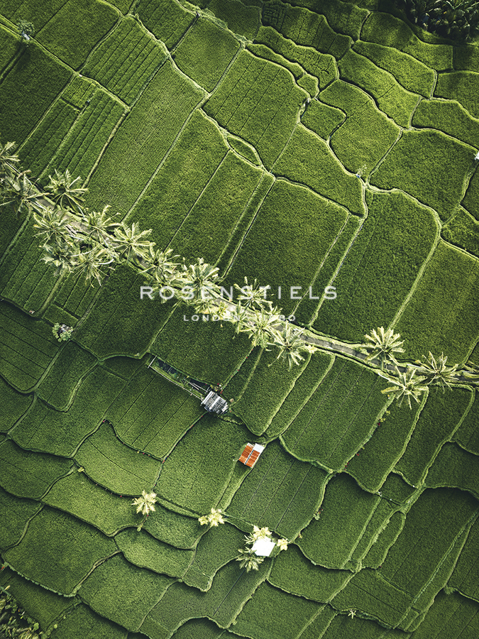 Aerial View - Fields - Joseph Eta
