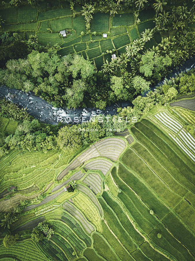 Aerial View - River - Joseph Eta