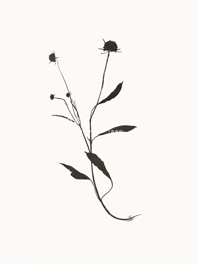 Winter Silhouette - Maria Mendez