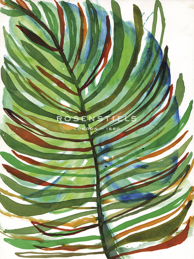 Tropical Medley - Paula Mills