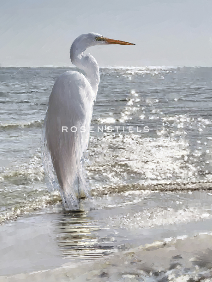 Ocean Stand - Jack Wild