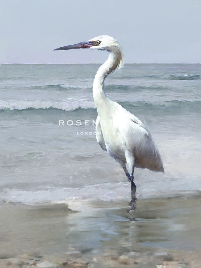 Ocean Pause - Jack Wild
