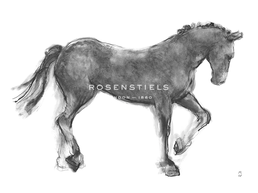 Equine Sketch - Canter - Manny Woodard