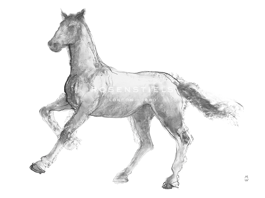 Equine Sketch - Trot - Manny Woodard