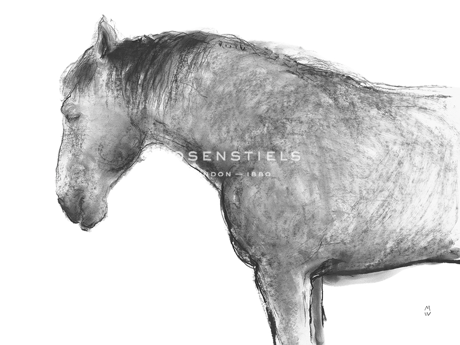Equine Sketch - Pause - Manny Woodard