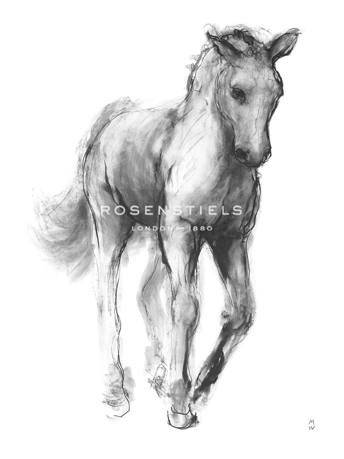 Equine Sketch - Gait - Manny Woodard