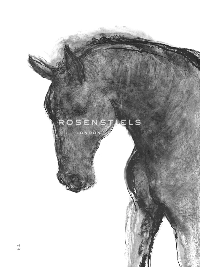 Equine Sketch - Lead - Manny Woodard