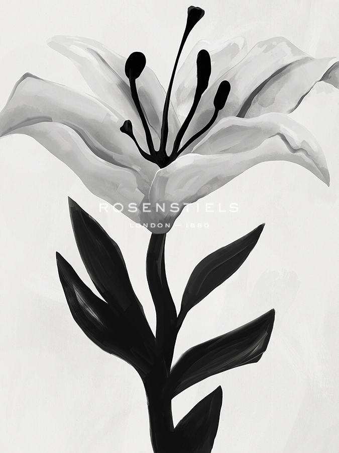 Simple Lillies - Swish - Aria Ellis