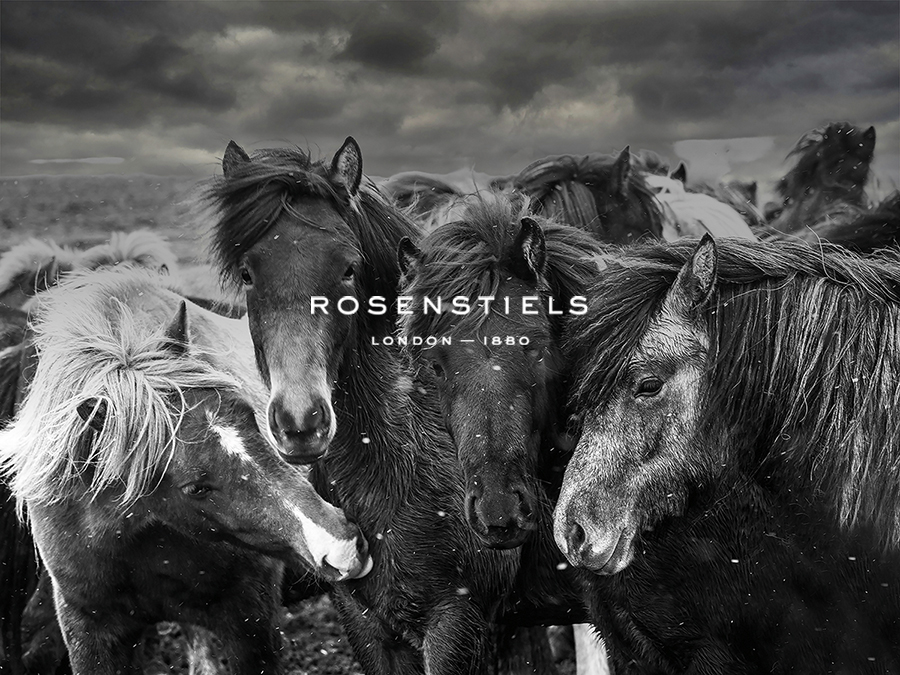 Horse Huddle - Bobbie Goodrich