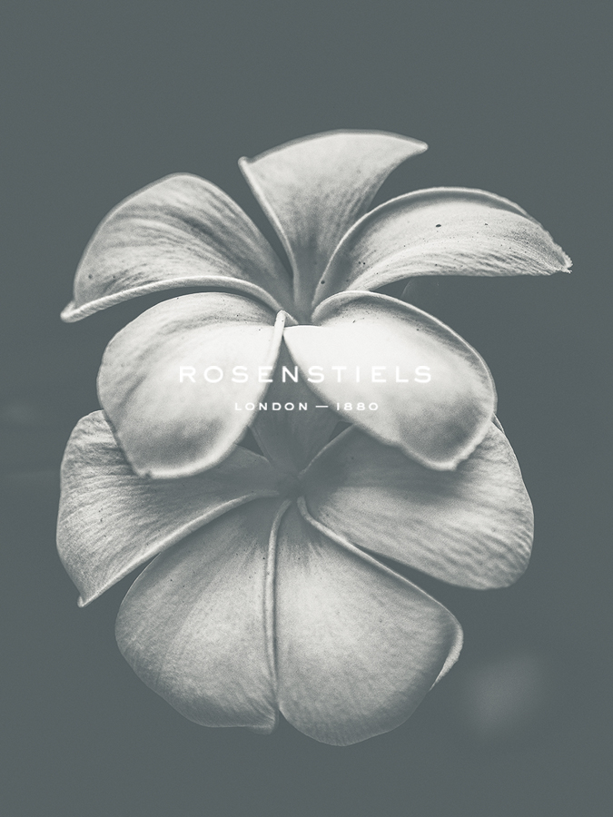 Floral Majesty - Posy - Florian Schleinig