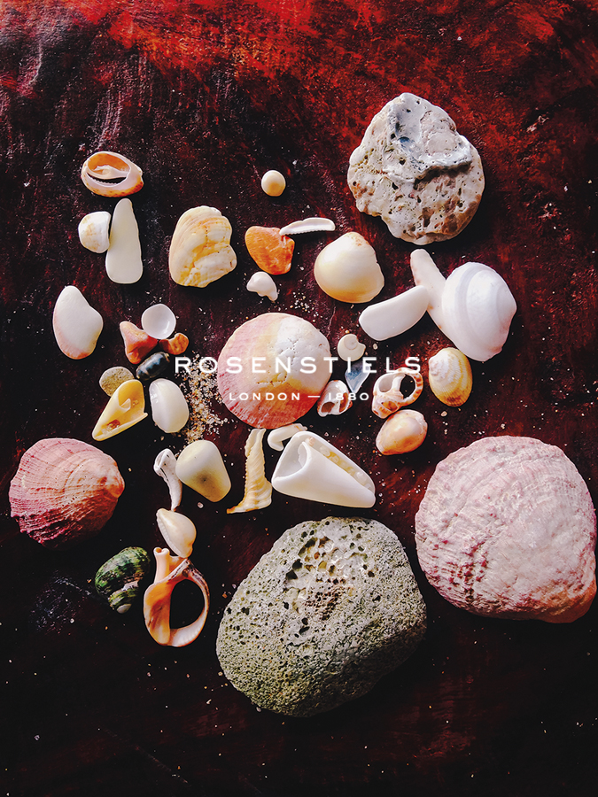Ocean Finds - Florian Schleinig