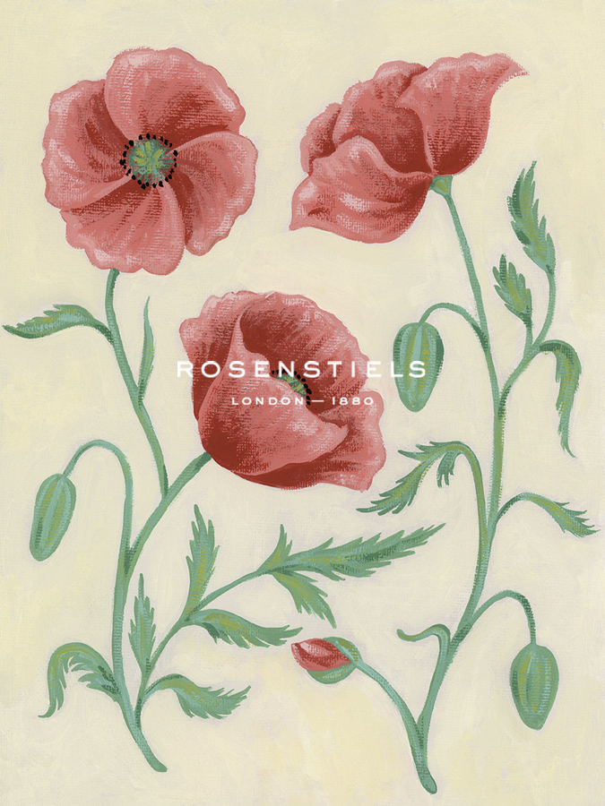 Botanical Bloom - Poppy - Erika Greenfield