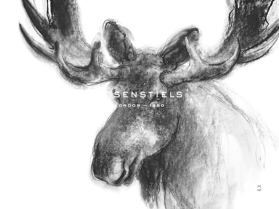Wild Sketch - Smile - Manny Woodard