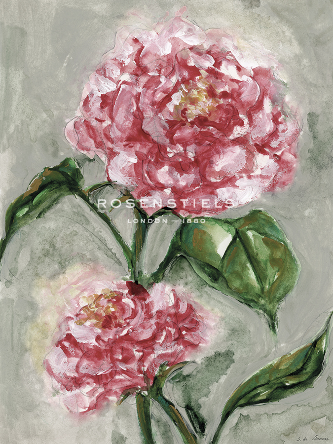 Peony in Bloom - Grow - S.  de Armas
