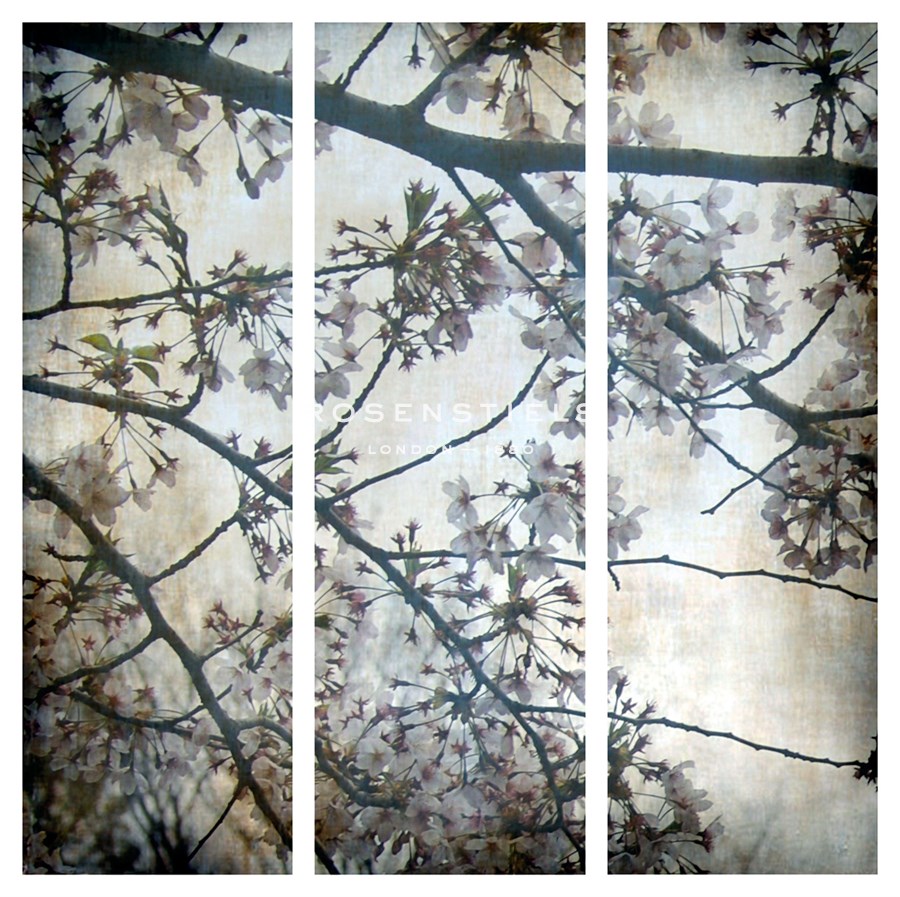 Cherry Blossoms Triptych - Tony Koukos