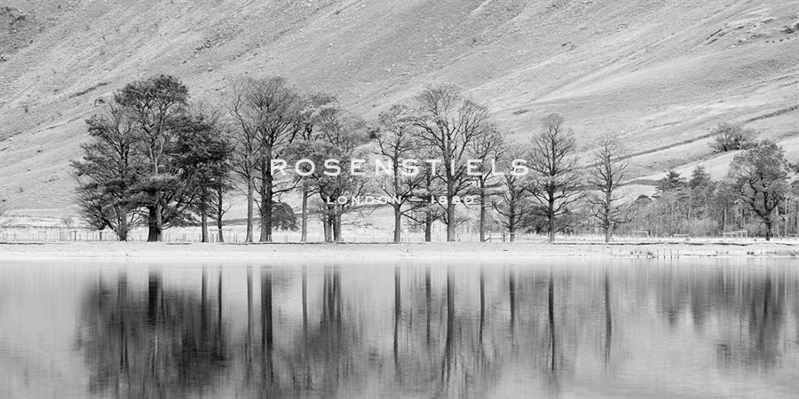 Mountain Lake With Tree - John Harper