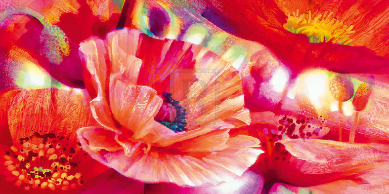 Poppy Homage - Nick Vivian